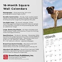 BrownTrout Bullmastiffs 2024 Mur Carré 30.48x60.96 CM, 9781975470685