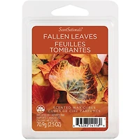 ScentSationals Scented Wax Cubes - Fallen Leaves, 2.5 oz (70.9 g)