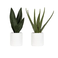 Faux sanseveria Coco dans un pot blanc 27,3cm H x 7,6cm L x 6,4cm P