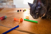 Lot de 24 jouets pour chats Multipet