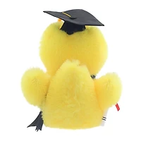 Peluche canard de remise des diplômes de la promotion 2025 dans une boîte