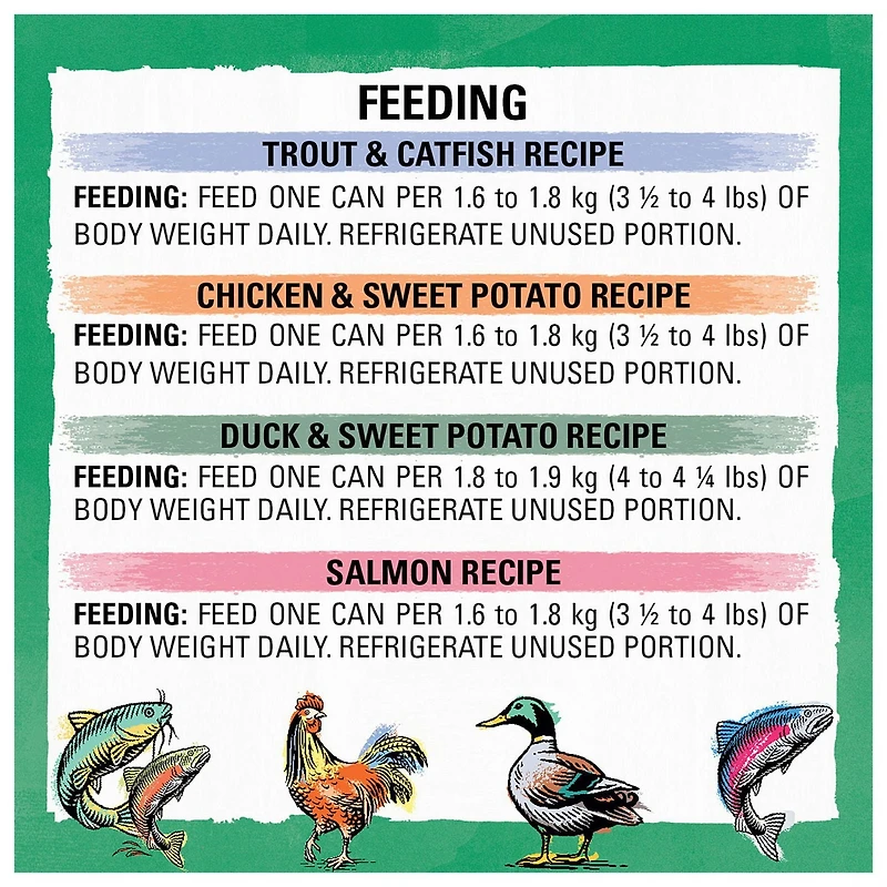 Beyond Sans Grains Pâté Assortiment 4 Saveurs, Nourriture Humide pour Chats 85 g x 24 85 g x 24