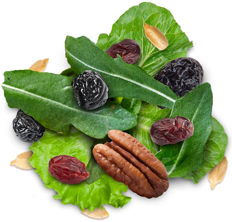 SALAD TOPPER SUMMER