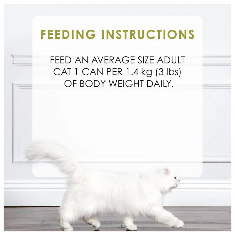 Fancy Feast Medleys White Meat Chicken Florentine in a Light Broth, Wet Cat Food 85 g