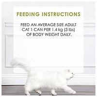 Fancy Feast Medleys White Meat Chicken Florentine in a Light Broth, Wet Cat Food 85 g