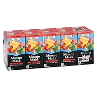 Minute Maid Fruit Punch 200mL carton, 10 pack, 200 x mL