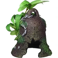 Cloche naufragée avec plantes Penn Plax