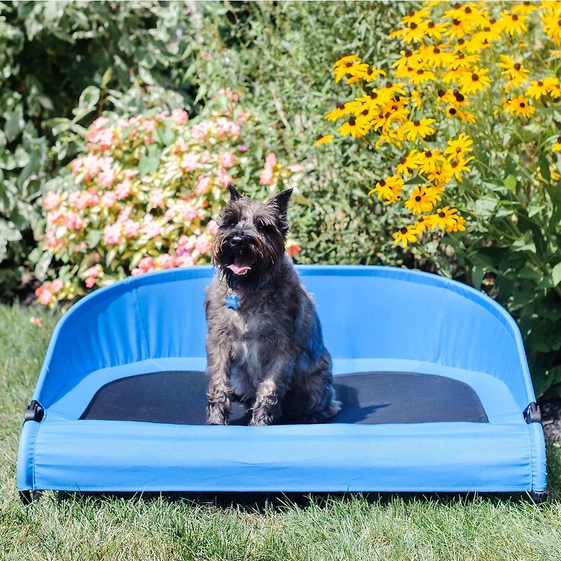 Gen7Pets Cool-Air Cot 36"
