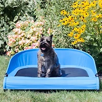 Gen7Pets Cool-Air Cot 36"