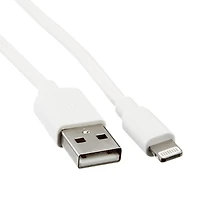 Câble USB Lightning ONN certifié Apple