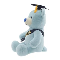 2025 Graduation 12" Blue Teddy Bear Plush
