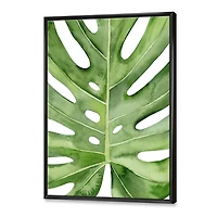 Designart Green Monstera Leaf Tropical Palm Botanical Detail FLOAT FRAME WALL ART