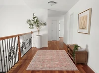 ECARPET Ruby Tapis pour Salon, Chambre, Salle A Manger, Entrée, Couloir et Plus Encore.