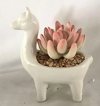 Ceramic Fake flower