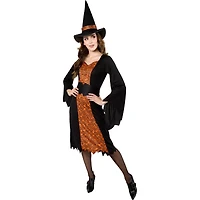 Rubies Witch Costume for Adults, Womens Small (Size 4-6)