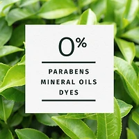 Revitalisant clarifiant au théier Herbal Essences Classics 400 ml