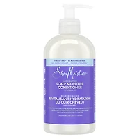 SheaMoisture Aloe Butter with Vitamin B3 Conditioner, 384 ml Conditioner