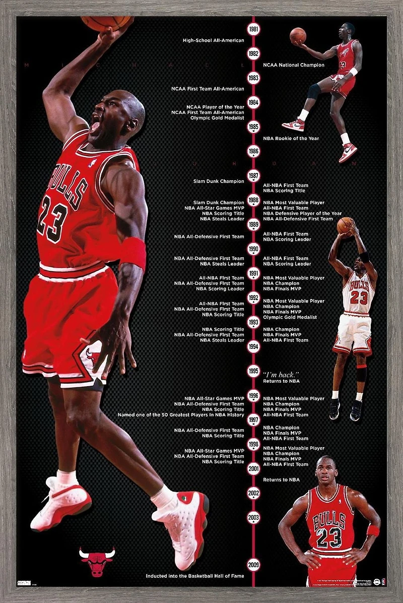 Michael Jordan - Timeline Wall Poster