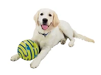 Allstar Products Group Allstar Wobble Wag Giggle Toy for All Size Dogs