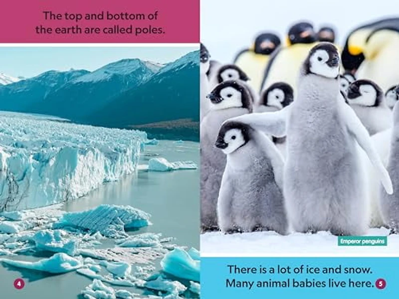Polar Babies (National Geographic Kids Explore! Readers, Pre-Reader) (National Geographic Readers)