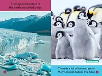 Polar Babies (National Geographic Kids Explore! Readers, Pre-Reader) (National Geographic Readers)