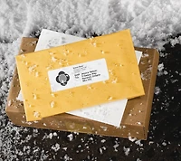 Avery Étiquettes imperméables 1" x 2⅝", pour imprimantes laser - 35520