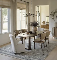 Rug Branch Havana Collection Tapis traditionnel en détresse.