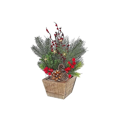 Pinu De Noël Avec Des Baies Rouges