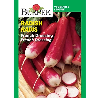Burpee French Dressing Radish, Plant Seeds for Home Garden