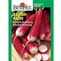 Burpee French Dressing Radish, Plant Seeds for Home Garden