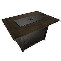 Endless Summer Le foyer au gaz Marc LP rectangulaire 40 x 28 pouces GAD17107ES