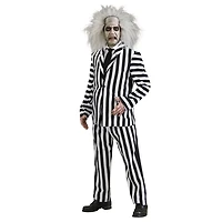 Beetlejuice Beetlejuice Men's Deluxe Costume