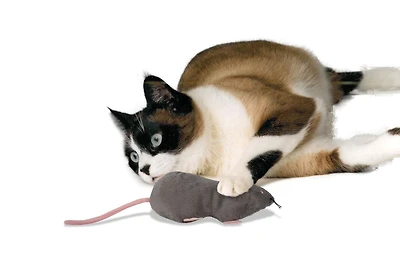 Grand jouet à l'herbe à chat en forme de souris de SmartyKat