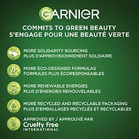 Garnier Sérum Masque en Tissu avec Niacinamide + Kale, soin équilibrant de la peau pour peau grasse, 1 masque en tissu (14 mL)