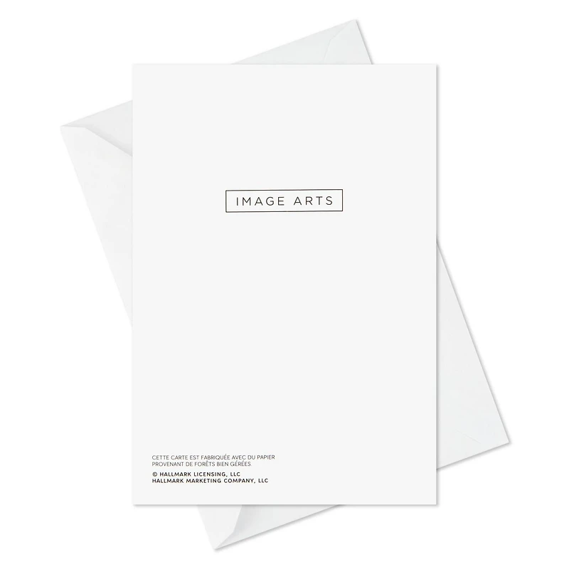 Image Arts French-Language Boxed Christmas Cards, Alpine Winter Fun (Pack of 28 Cards with Envelopes)