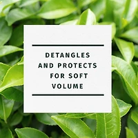 Herbal Essences Classics Clarifying Tea Tree Conditioner, 400 mL