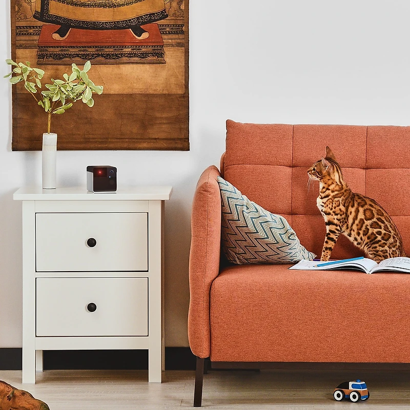 Petcube Caméra Wi-Fi Petcube Play 2 avec jouet laser pour chats et chiens