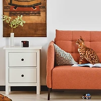 Petcube Caméra Wi-Fi Petcube Play 2 avec jouet laser pour chats et chiens