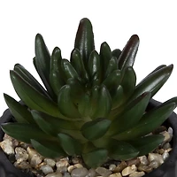 Plante grasse artificielle Cozby dans un pot noir de hometrends