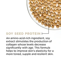 L'Oréal Paris Age Perfect Anti-Sagging Anti-Age Spot Face Day Moisturizer with Soy Seed Protein, Anti-Aging, 75 ml