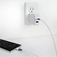 Scosche CA4WG-SP Strikeline USB-A to USB-C Charge & Sync Cable 4-ft. White/Gray, 4ft Cable for USB-C Devices