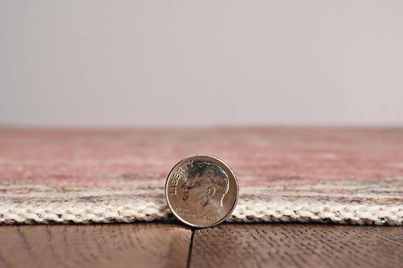 Tapis d'appoint lavable Blanton 2 pi x 3 pi rose et ivoire