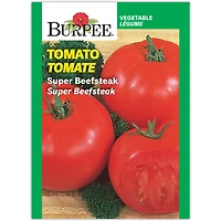 Burpee Super Beefsteak Tomate