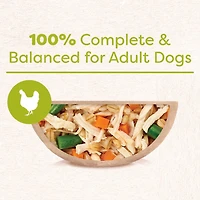Cesar Wholesome Bowls Chicken, Carrots, Barley & Green Beans Wet Dog Food, 85g