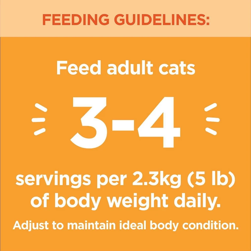 IAMS Perfect Portions Pâté Healthy Adult Recette au poulet et Recette au saumon sans céréales 12x75g