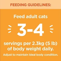 IAMS Perfect Portions Pâté Healthy Adult Recette au poulet et Recette au saumon sans céréales 12x75g