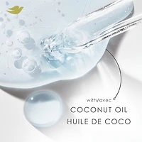 Shampoing pour Cheveux Abîmés, Dove Huile de Coco & Restauration avec Soin Bio-Protéine Liquide, 355mL 355 ML