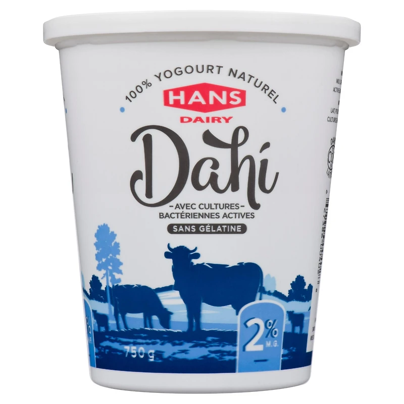 Hans Dairy Dahi 2% M.F. Natural Yogurt
