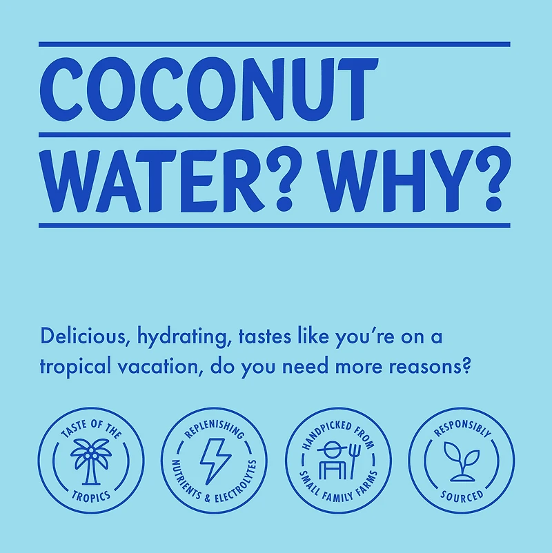 Vita Coco Extra Noix de Coco Eau de Coco 1L