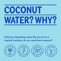 Vita Coco Extra Noix de Coco Eau de Coco 1L